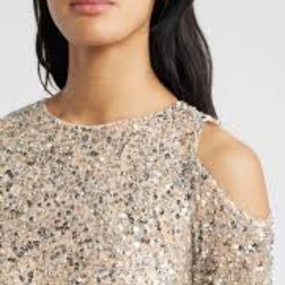 Pisarro Nights cold shoulder sequin beaded blush silver gown dress size 18